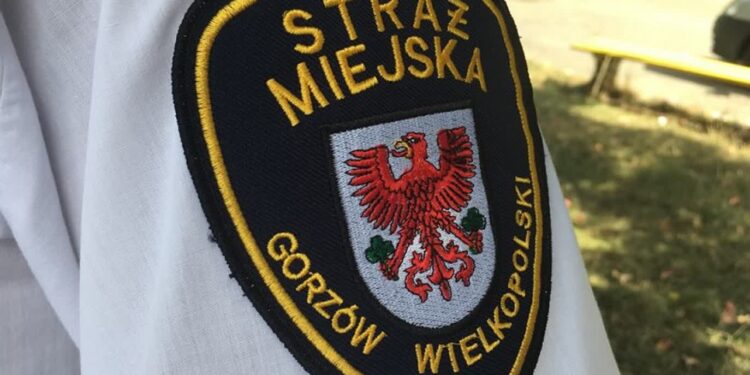 Strażnicy miejscy pilnie poszukiwani