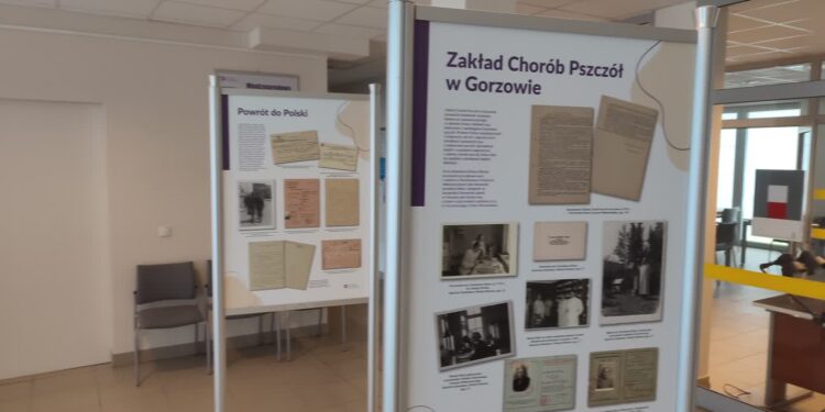 Międzynarodowy Dzień Archiwów w Gorzowie