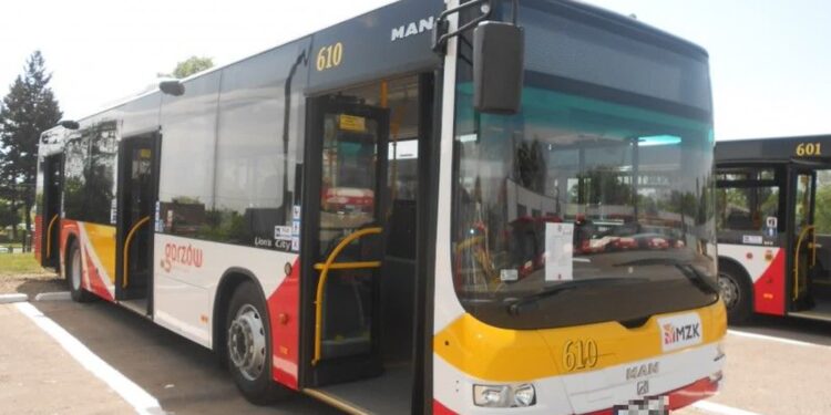 Dodatkowe autobusy na nocnych liniach w weekendy