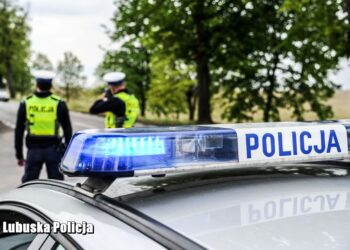 Lubuskie najbezpieczniejszym województwem w kraju dla kierowców i pieszych. Sprawdź statystyki