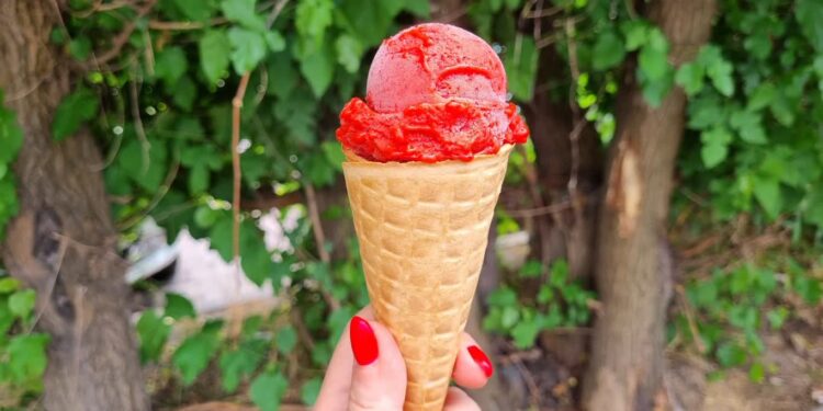 Pierwszy Dzień Lata