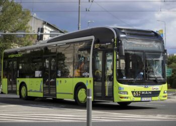 Startują autobusy MZK nad jezioro w Nierzymiu