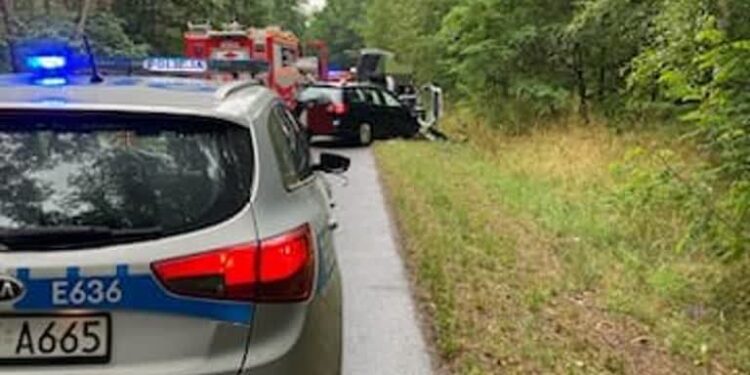 Śmiertelny wypadek na trasie Ołobok-Rokitnica