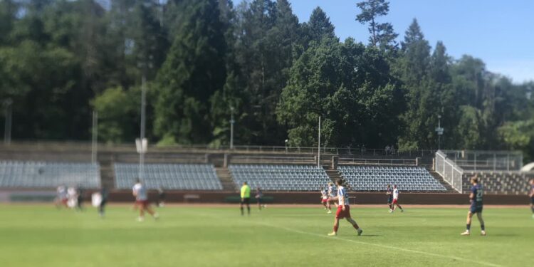 Szalony sparing w pełnym słońcu