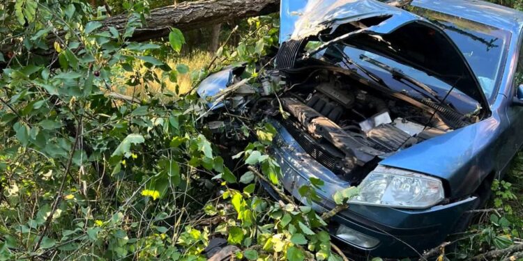 Jazda z promilami zakończyła się na drzewie