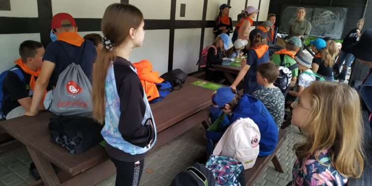 „Akcja Lato 2023” z MCK, czyli kino, Korsakówka i alpaki