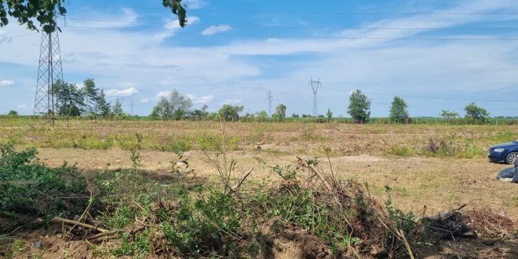 Na razie nie ma wniosku w sprawie obory na Górczynie