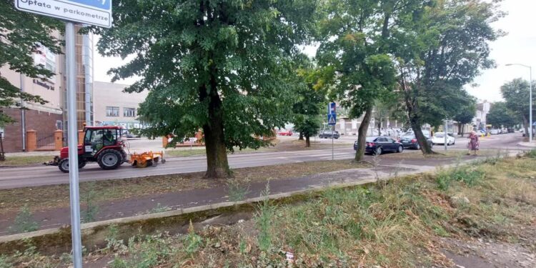 Walczą ze skutkami wczorajszej burzy