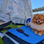 Foto.: E.Grzegorczyk