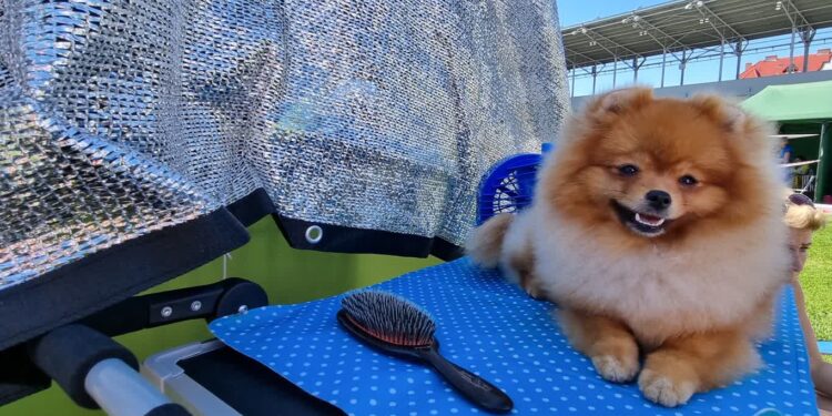 Foto.: E.Grzegorczyk