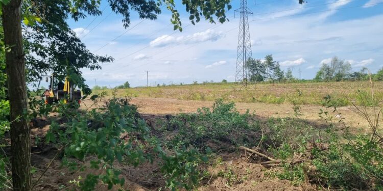 Krowy i byki tuż za ogrodzeniem? Budowa ruszyła