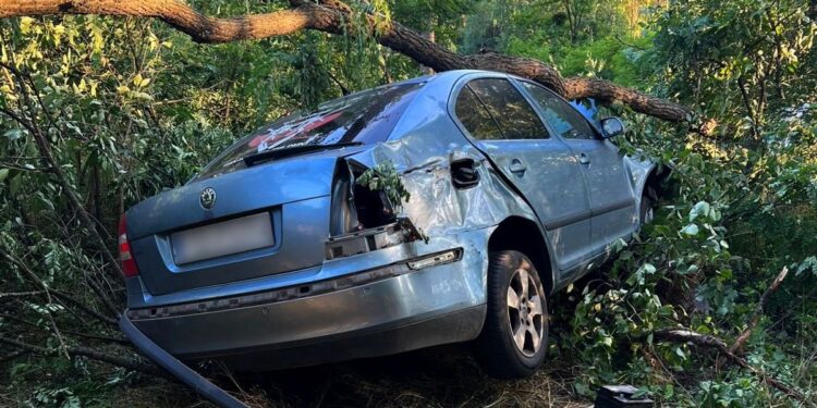 Miał ponad dwa promile i przewoził rodzinę. Jazdę zakończył uderzając w drzewo
