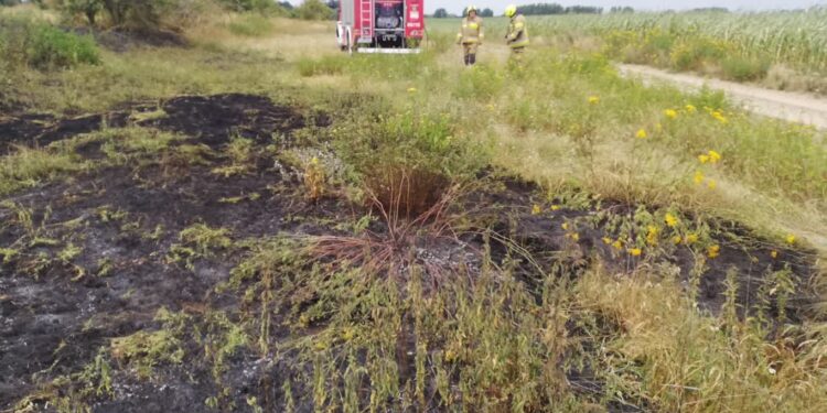 W Wojcieszycach paliło się ok 20 ar. traw