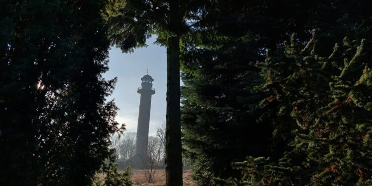 Mamy długi weekend! Wieże widokowe otwarte dla turystów