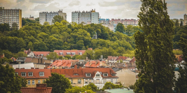 Fot. Jan Wojtanowski