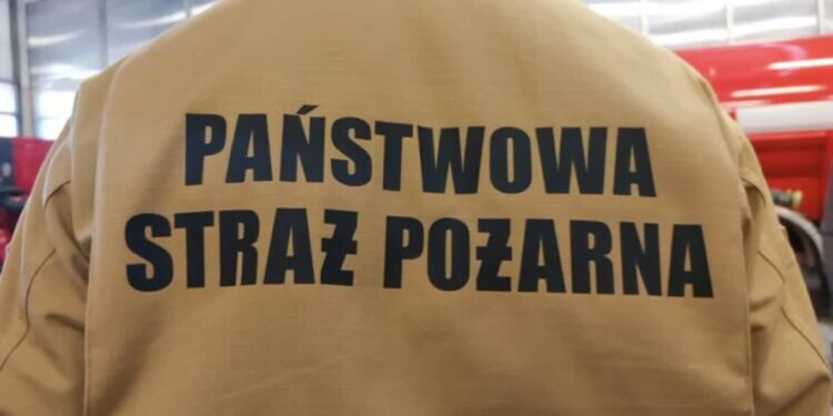 Pracowite popołudnie gorzowskich strażaków