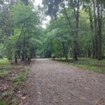 Park Kopernika w Gorzowie wypięknieje