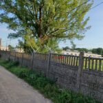 Foto: E.Grzegorczyk