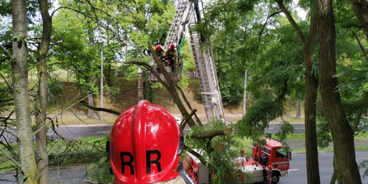 Akcja strażaków na Pomorskiej