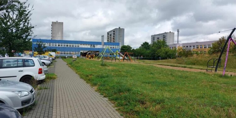 Kikutów już nie ma. Czy będą drzewa?