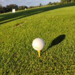 Gorzów: Wakacyjne zajęcia golfa dla początkujących