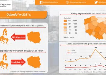 GUS o odpadach w regionie