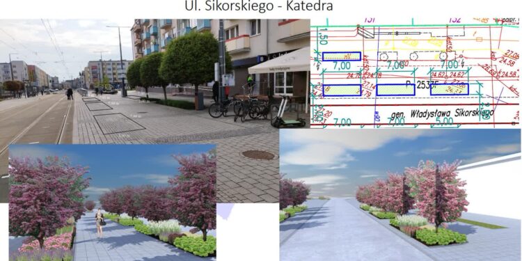 Kto posadzi drzewa, kwiaty i trawy?