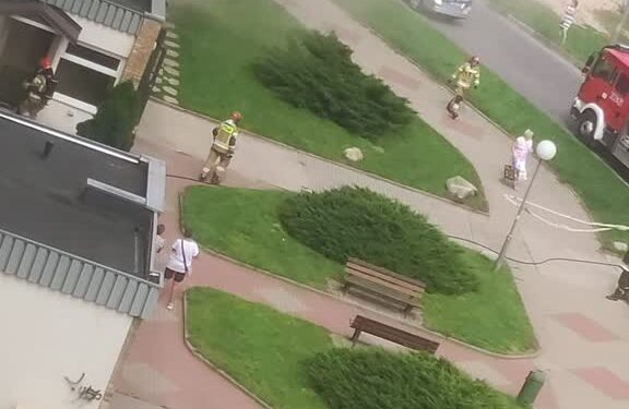 fot: FBA.Namysłowska