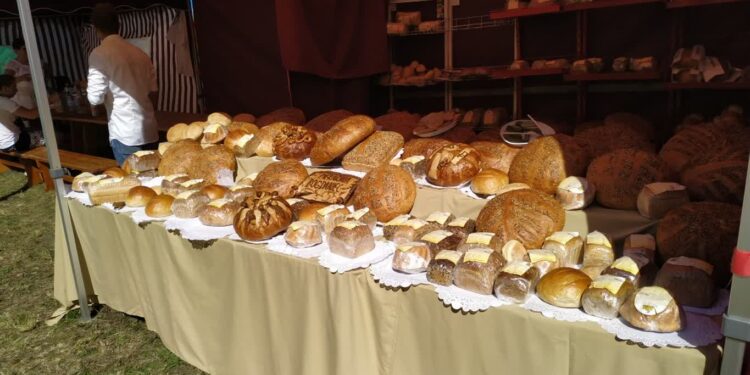 W sobotę Święto Chleba w Bogdańcu
