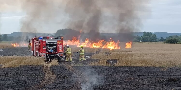Pożar zboża w Jenińcu