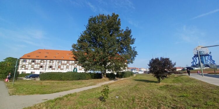 Skwer przy Spichlerzu w Gorzowie.