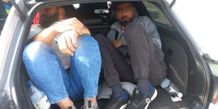 42 osoby zatrzymane podczas polsko-niemieckiej akcji służb granicznych