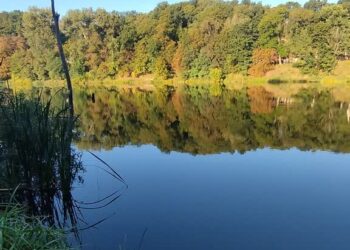 Staw Błotny w Gorzowie