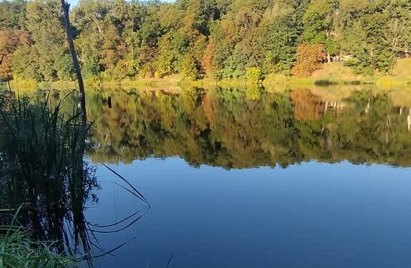 Staw Błotny w Gorzowie