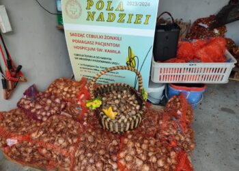 „Pola Nadziei” na półmetku