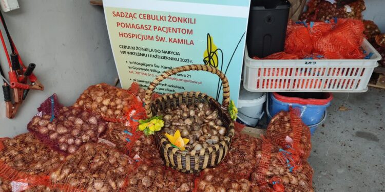 „Pola Nadziei” na półmetku