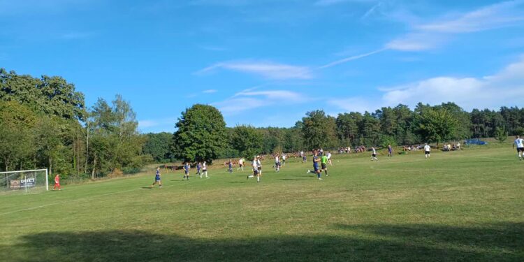 Święto w Pieskach okraszone golem Asa, ale Warta zrobiła swoje