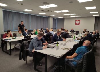 Lubuska rada dialogu społecznego rozmawiała m.in.: o psychiatrii dziecięcej