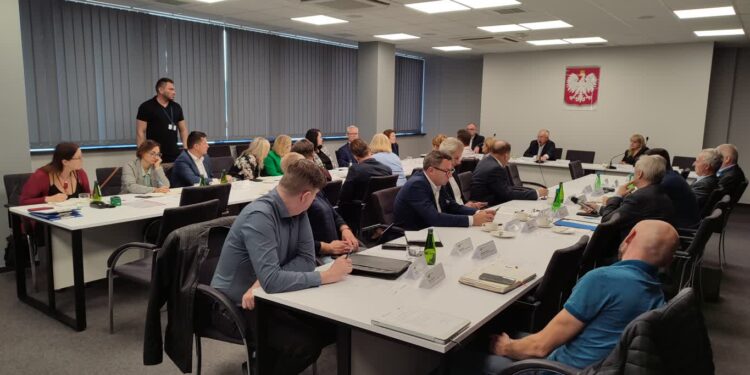 Lubuska rada dialogu społecznego rozmawiała m.in.: o psychiatrii dziecięcej