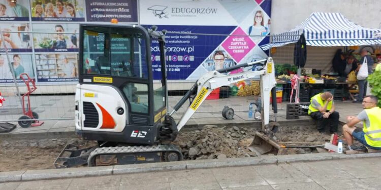 Będzie zielono w centrum Gorzowa