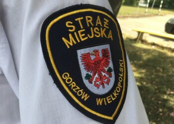 Prawo reguluje miejsca umieszczania plakatów wyborczych – przypomina Straż Miejska