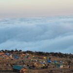 Fot. Piotr Wiśniewski