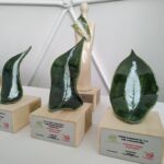 Fot. Piotr Wiśniewski