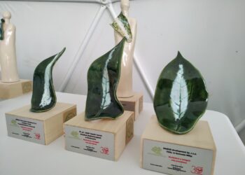 Fot. Piotr Wiśniewski