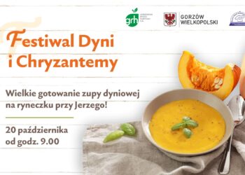 Festiwal Dyni i Chryzantemy