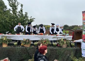 Smaki Lasu na gorzowskim rynku