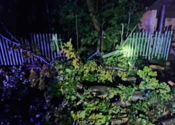 Strażacy przyjęli około 160 zgłoszeń związanych z silnym wiatrem