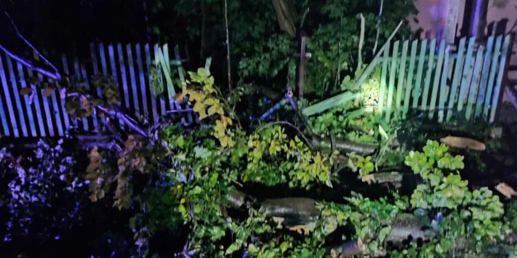 Strażacy przyjęli około 160 zgłoszeń związanych z silnym wiatrem