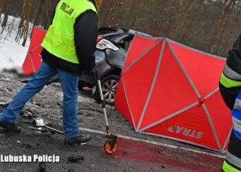 Śmiertelny wypadek w gminie Gubin, nie żyje motorowerzysta