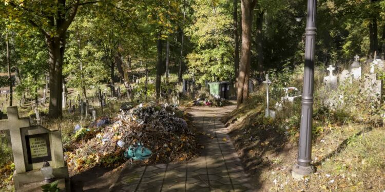 Fot. Jan Wojtanowski